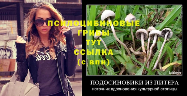 spice Нея