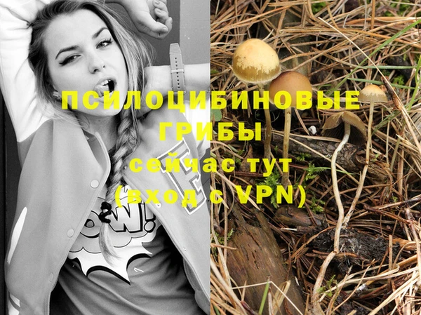 индика Бердск