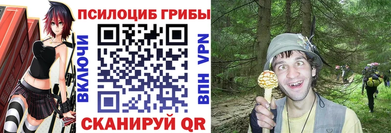 купить наркотик  Алушта  Галлюциногенные грибы мухоморы 