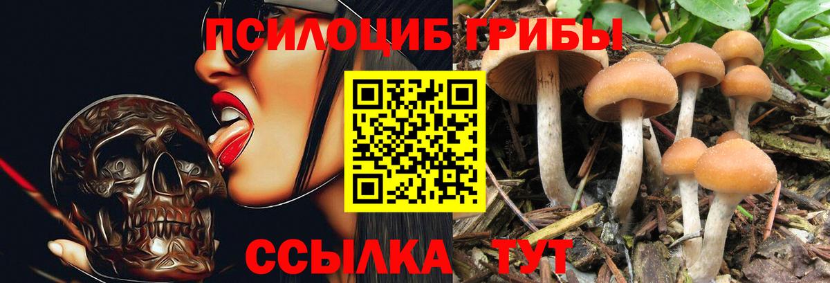Алушта  Галлюциногенные грибы Cubensis  Вход с VPN 