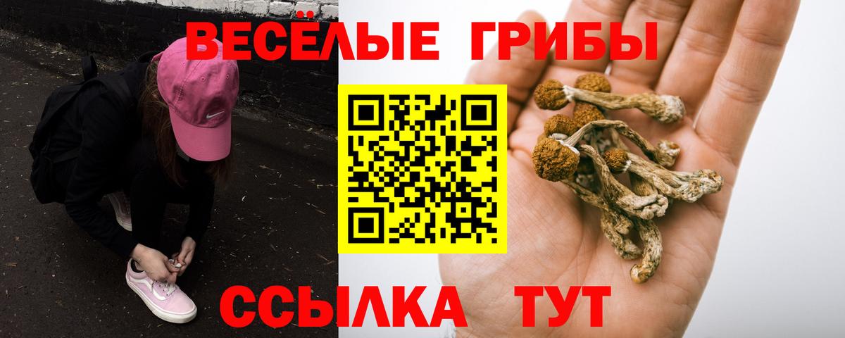 Псилоцибиновые грибы мицелий  Галлюциногенные грибы GOLDEN TEACHER  Алушта 
